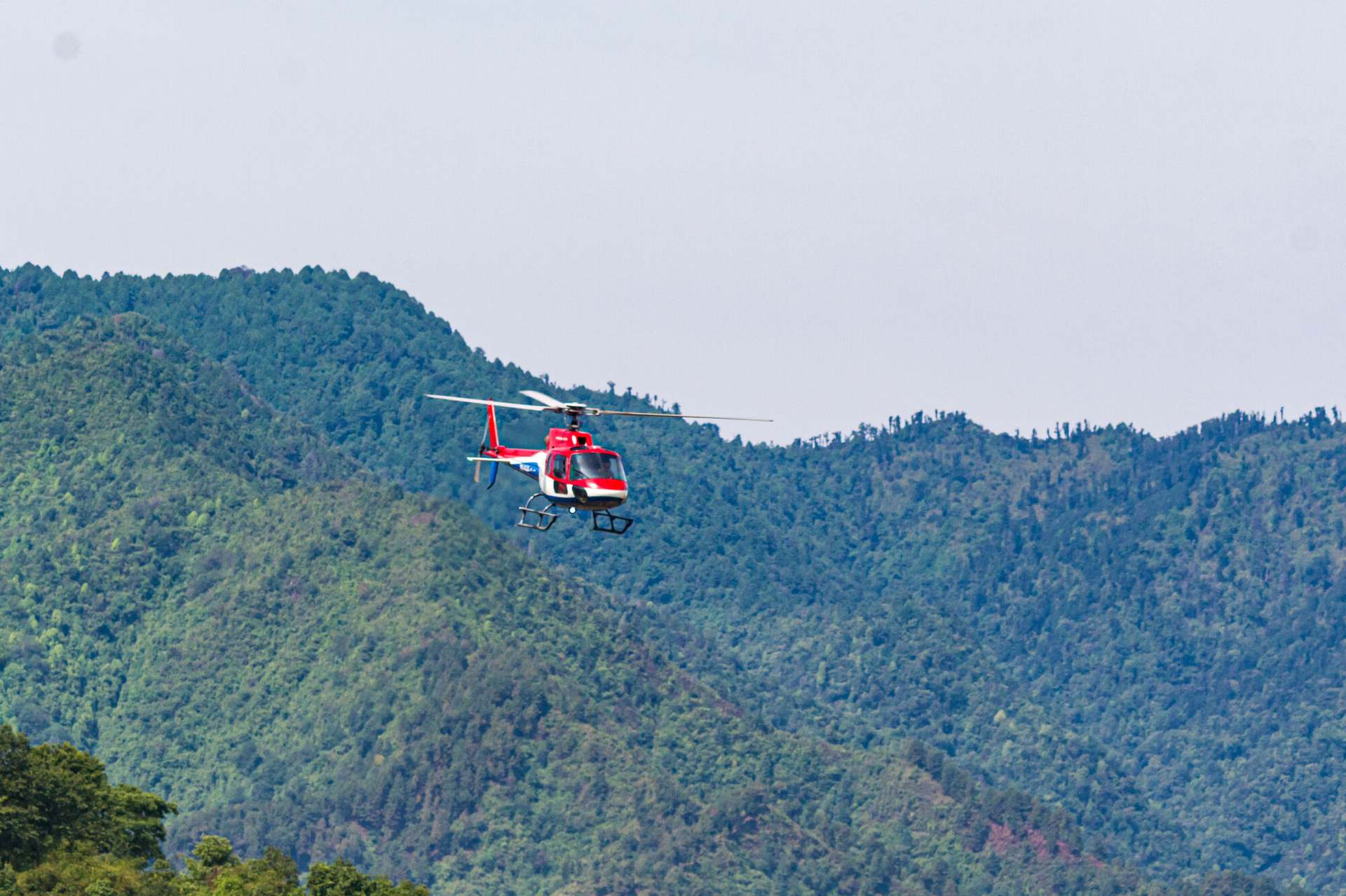 A single-engine helicopter crossing the middle hills, the forest running away below it.